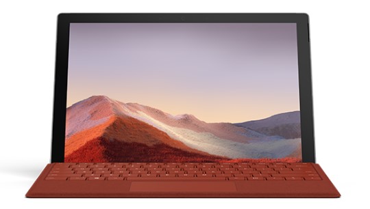 卧龙清洁和维护 Surface